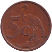 Африканская красавка. Монета 5 центов. 1999 год, Южная Африка.