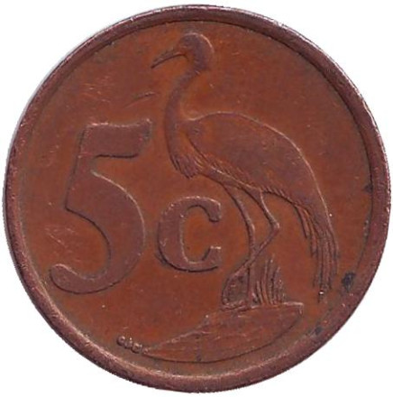 Монета 5 центов. 1999 год, Южная Африка. Африканская красавка.