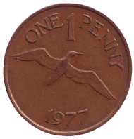 Монета 1 пенни. 1977 год, Гернси. Баклан. Монета 1 пенни. 1977 год, Гернси. Баклан.