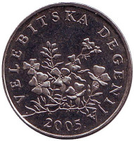 Монета 50 лип. 2005 год, Хорватия. Дегения велебитская. Монета 50 лип. 2005 год, Хорватия. Дегения велебитская.