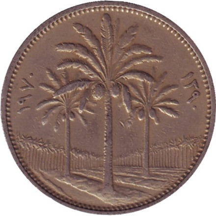 Монета 50 филсов. 1970 год, Ирак. Пальмовые деревья.