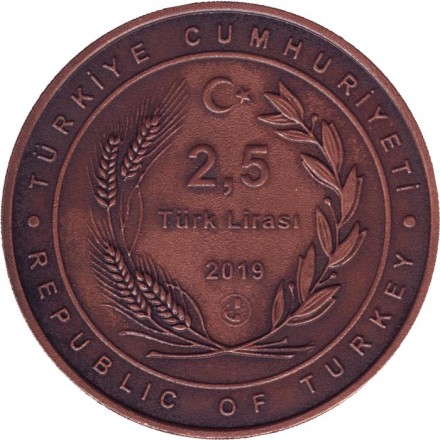 Монета 2,5 лиры. 2019 год, Турция. 650 лет с дня рождения Имадеддина Насими.