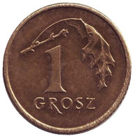 Монета 1 грош, 1999 год, Польша. Дубовый лист. Монета 1 грош, 1999 год, Польша. Дубовый лист.