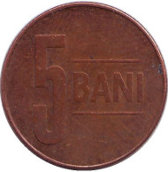 Монета 5 бани. 2008 год, Румыния. Монета 5 бани. 2008 год, Румыния.