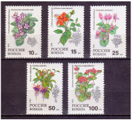 Комнатные растения. Марки почтовые. Серия из 5 штук. 1993 год, Россия. Комнатные растения. Марки почтовые. Серия из 5 штук. 1993 год, Россия.