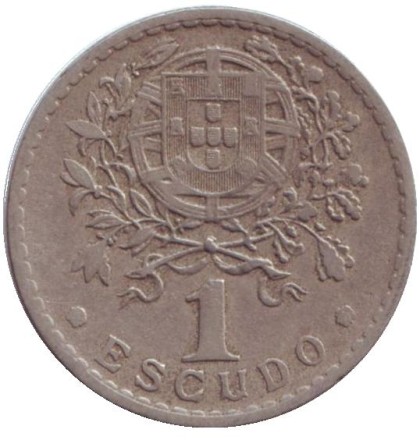 escudo-1.jpg