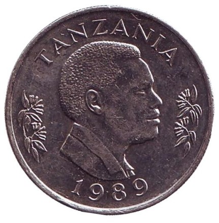 Монета 1 шиллинг. 1989 год, Танзания. Факел. Монета 1 шиллинг. 1989 год, Танзания. Факел.