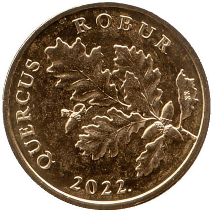 Монета 5 лип. 2022 год, Хорватия. Дуб черешчатый.