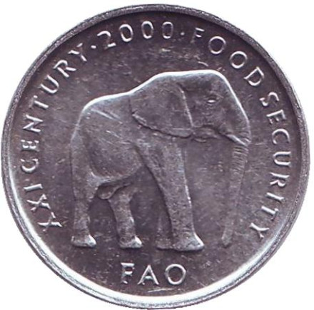Монета 5 шиллингов. 2000 год, Сомали. (из обращения) Слон. ФАО.