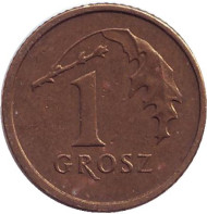 Монета 1 грош, 2001 год, Польша. Дубовый лист. Монета 1 грош, 2001 год, Польша. Дубовый лист.