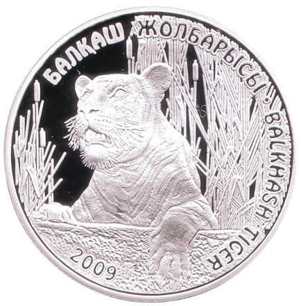 Монета 500 тенге. 2009 год, Казахстан. Балхашский тигр. Животные стран ЕврАзЭС.
