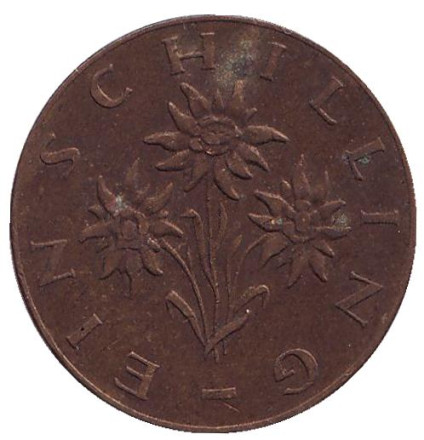 Монета 1 шиллинг. 1960 год, Австрия. Эдельвейс.
