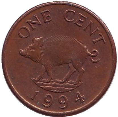 Монета 1 цент, 1994 год, Бермудские острова. Поросенок.