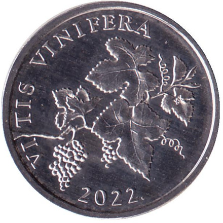Монета 2 липы. 2022 год, Хорватия. Виноградная ветвь.