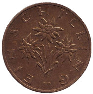 Монета 1 шиллинг. 1979 год, Австрия. Эдельвейс. Монета 1 шиллинг. 1979 год, Австрия. Эдельвейс.