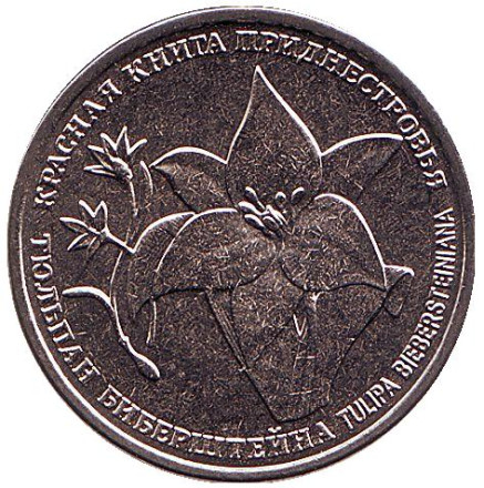 Монета 1 рубль. 2019 год, Приднестровье. Тюльпан Биберштейна.