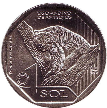 Монета 1 соль. 2017 год, Перу. Очковый медведь. Фауна Перу.