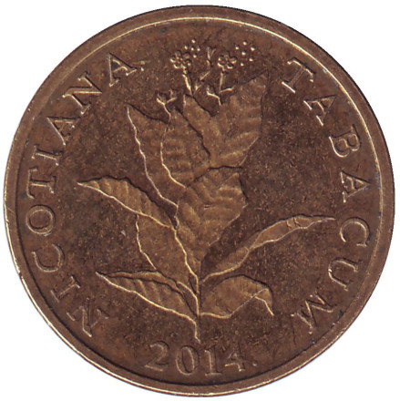 Монета 10 лип. 2014 год, Хорватия. Табак.