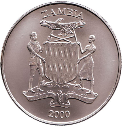 20000-12.jpg