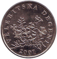Монета 50 лип. 2007 год, Хорватия. Дегения велебитская.