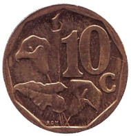 Монета 10 центов. 2010 год, Южная Африка. Лилия. Монета 10 центов. 2010 год, Южная Африка. Лилия.