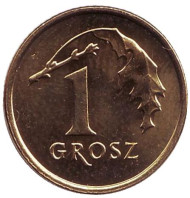 Монета 1 грош, 2004 год, Польша. Из обращения. Дубовый лист. Монета 1 грош, 2004 год, Польша. Из обращения. Дубовый лист.