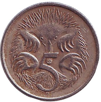 Монета 5 центов. 1979 год, Австралия. Ехидна.