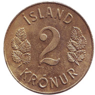 Монета 2 кроны. 1966 год, Исландия. Монета 2 кроны. 1966 год, Исландия.