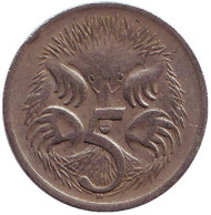 Монета 5 центов. 1968 год, Австралия. Ехидна. Монета 5 центов. 1968 год, Австралия. Ехидна.