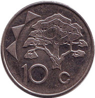 Монета 10 центов. 2009 год, Намибия. Акация. Монета 10 центов. 2009 год, Намибия. Акация.