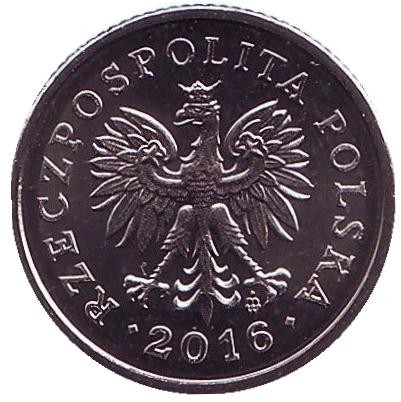 Монета 20 грошей. 2016 год, Польша. Монета 20 грошей. 2016 год, Польша.