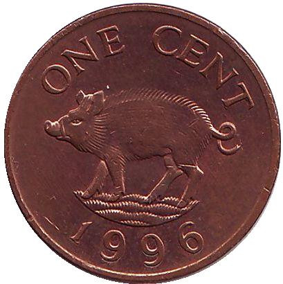 Монета 1 цент, 1996 год, Бермудские острова. Поросенок.
