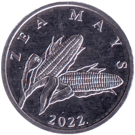 Монета 1 липа. 2022 год, Хорватия. Початок кукурузы.