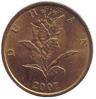 Монета 10 лип. 2007 год, Хорватия. Табак. Монета 10 лип. 2007 год, Хорватия. Табак.