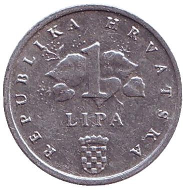 Монета 1 липа. 1993 год, Хорватия. Из обращения. Початок кукурузы. Монета 1 липа. 1993 год, Хорватия. Из обращения. Початок кукурузы.