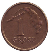 Монета 1 грош, 2007 год, Польша. Дубовый лист. Монета 1 грош, 2007 год, Польша. Дубовый лист.