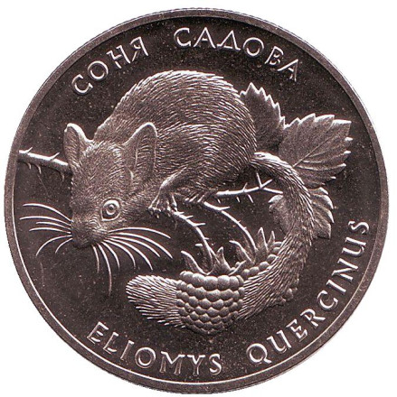 Монета 2 гривны. 1999 год, Украина. Соня садовая.