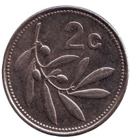 Монета 2 цента. 2004 год, Мальта. Оливковая ветвь. Монета 2 цента. 2004 год, Мальта. Оливковая ветвь.