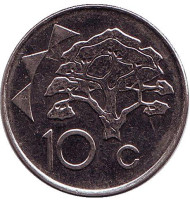 Монета 10 центов. 2012 год, Намибия. Акация. Монета 10 центов. 2012 год, Намибия. Акация.