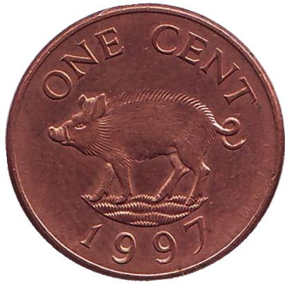 Монета 1 цент, 1997 год, Бермудские острова. Поросенок.