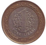 Монета 1 лира. 2012 год, Турция.