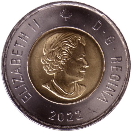 Монета 2 доллара. 2022 год, Канада. 50 лет Суперсерии СССР — Канада. Монета 2 доллара. 2022 год, Канада. 50 лет Суперсерии СССР — Канада.