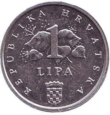 Монета 1 липа. 1995 год, Хорватия. Початок кукурузы. Монета 1 липа. 1995 год, Хорватия. Початок кукурузы.