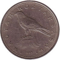 Сокол (Балобан). Монета 50 форинтов. 1993 год, Венгрия.