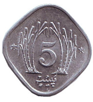 Монета 5 пайсов. 1987 год, Пакистан. Монета 5 пайсов. 1987 год, Пакистан.