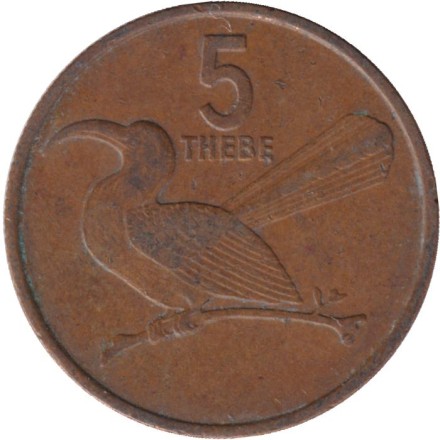 Монета 5 тхебе. 1981 год, Ботсвана. Птица-носорог.