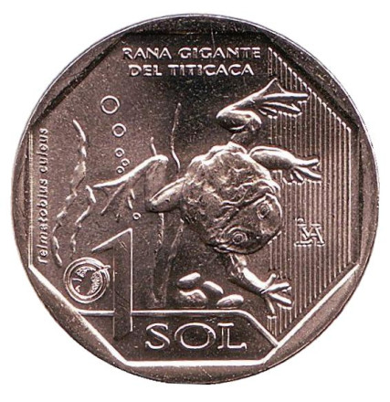 Монета 1 соль. 2019 год, Перу. Титикакский свистун.