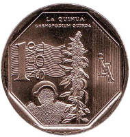 Монета 1 соль. 2013 год, Перу. Киноа. Природные ресурсы Перу. Монета 1 соль. 2013 год, Перу. Киноа. Природные ресурсы Перу.