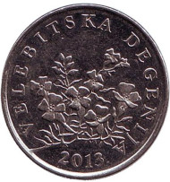 Монета 50 лип. 2013 год, Хорватия. Дегения велебитская. Монета 50 лип. 2013 год, Хорватия. Дегения велебитская.