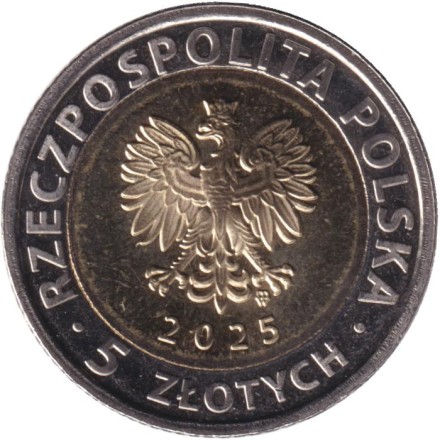 Монета 5 злотых. 2025 год, Польша. Ратуша в Бжеге.